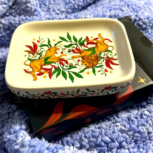 Fairyloot Other - Fairyloot “Raybearer” Ceramic Soap Dish, New in Box